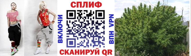 Каннабис семена  Купить где  Сольвычегодск 